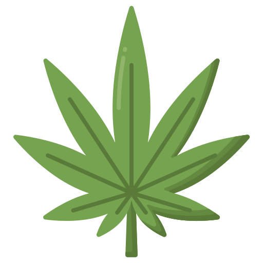 About Bicaro Holding icon