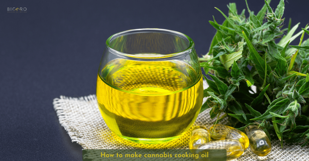 Bicaro Holding News 8 How to make cannabis cooking oil