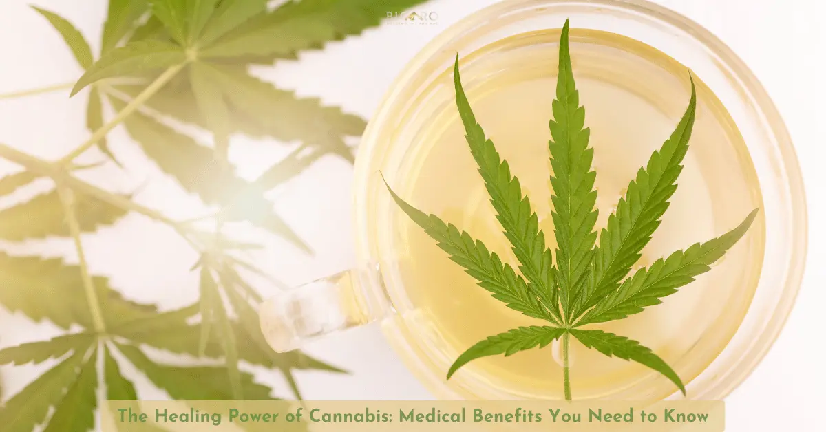 Bicaro Holding News 5 The Healing Power of Cannabis: Medical Benefits You Need to Know