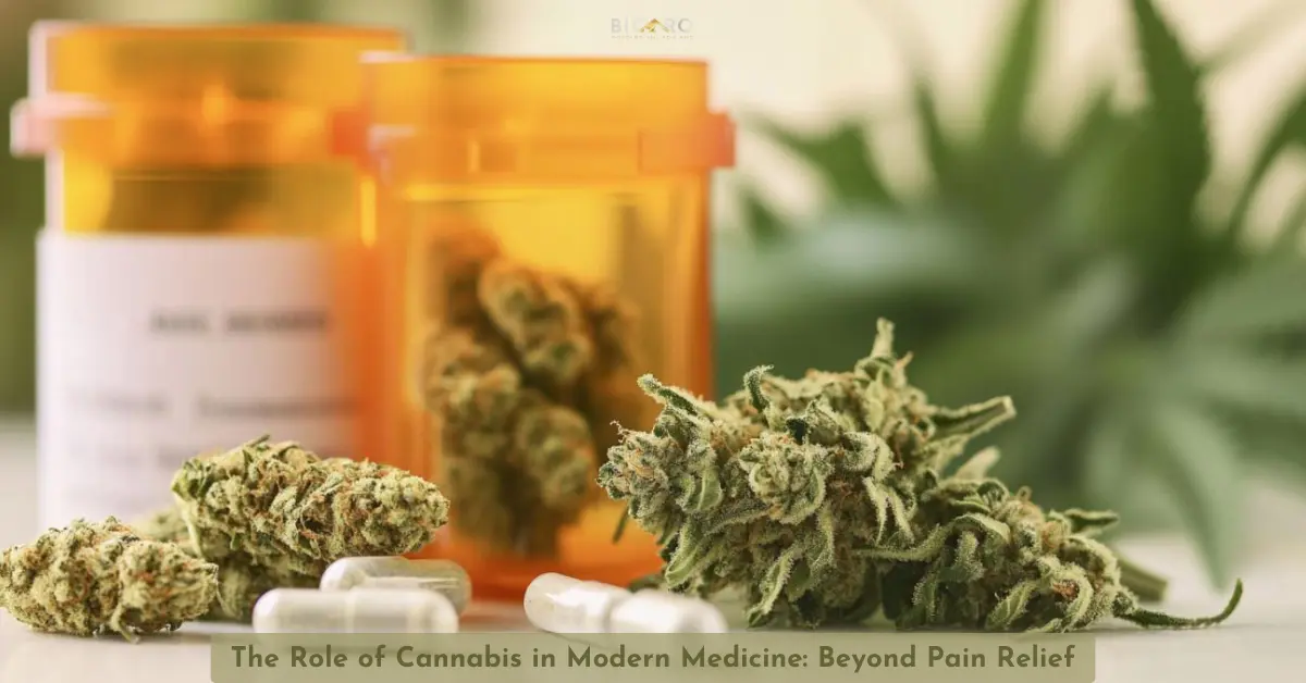 Bicaro Holding News 3 The Role of Cannabis in Modern Medicine: Beyond Pain Relief