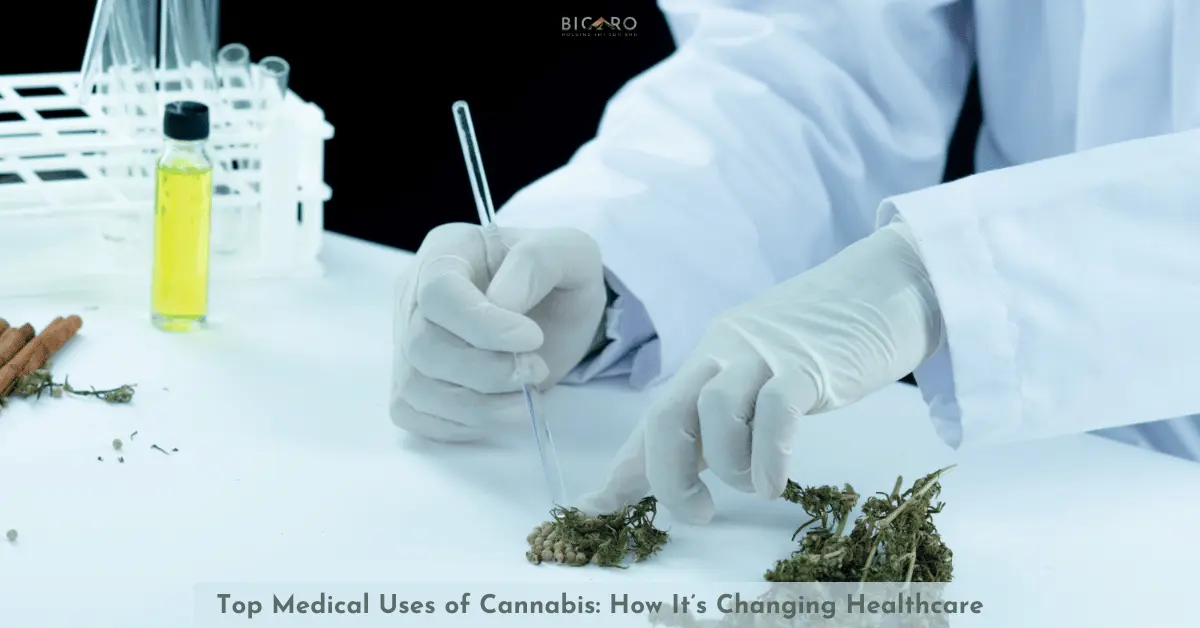 Bicaro Holding News 4 Top Medical Uses of Cannabis: How It’s Changing Healthcare