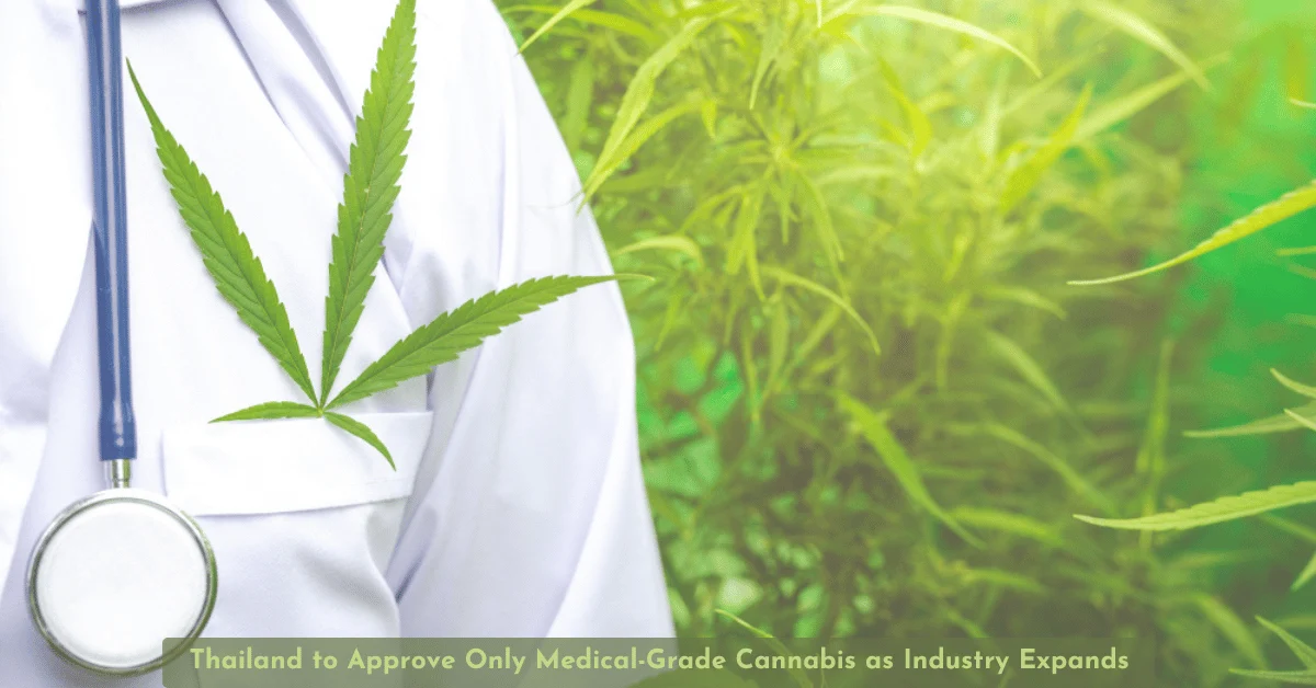 Bicaro Holding News 9 Thailand to Approve Only Medical-Grade Cannabis as Industry Expands